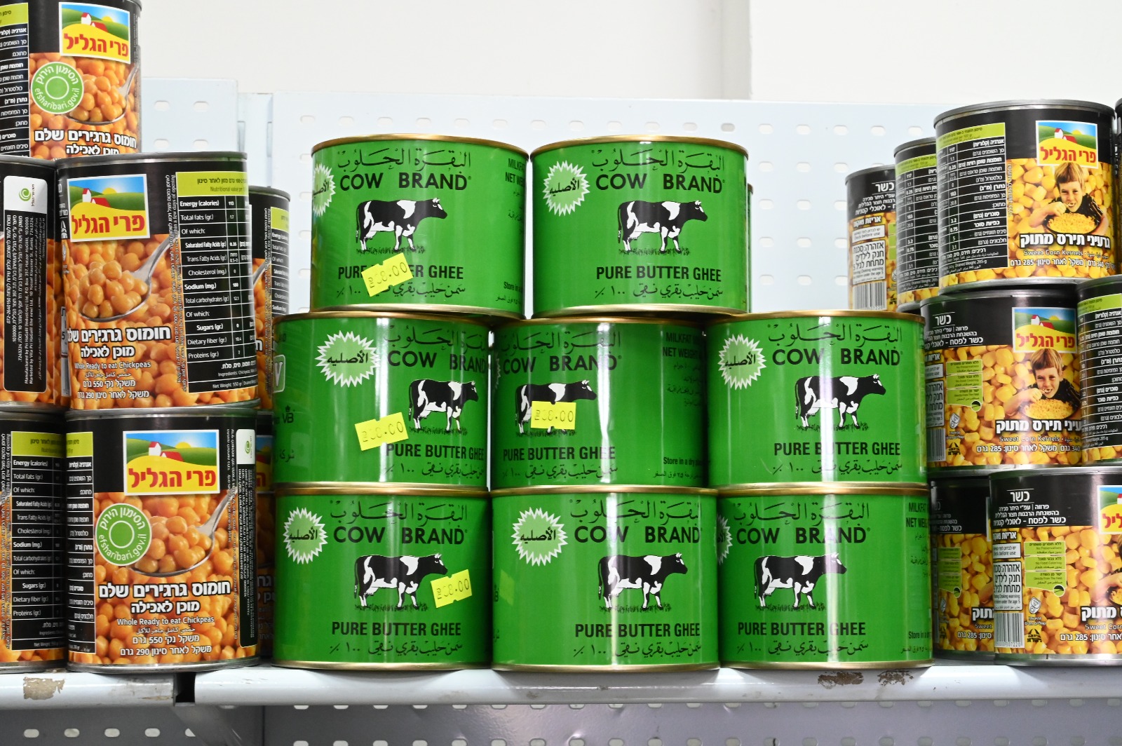 WhatsApp Image 2023-03-02 at 6.00.39 PM.jpg